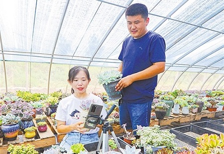 经济日报头版点赞德州乡村振兴探索！走出一条融合化之路