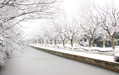 安徽省全力防范应对雨雪冰冻天气 确保受灾群众“五有”