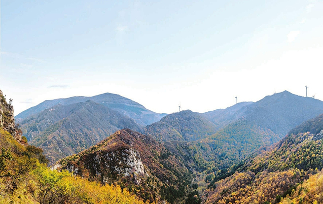 山西全年营造林400.8万亩