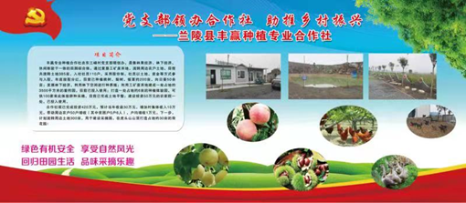党支部领办合作社，铺就“一村一品”致富路