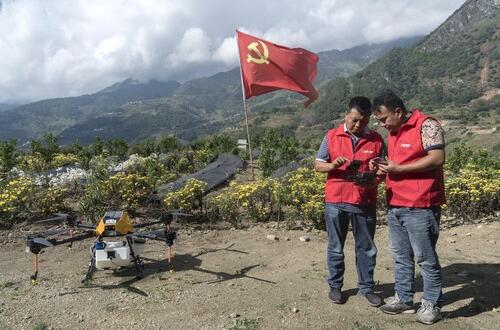石头山变身“花果山”，拼多多助力“三区三州”数字农业发展