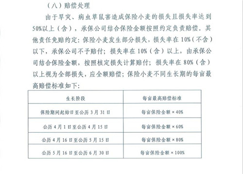 山东莱西：中国人保财险在受灾小麦保险理赔上出现双重标准