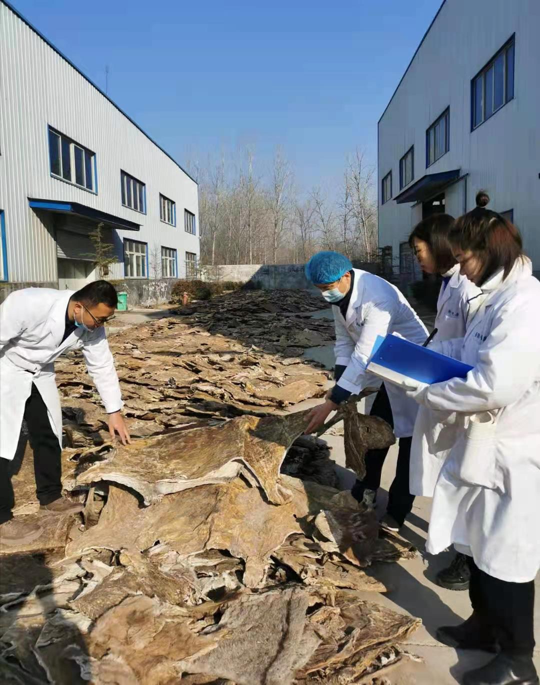 20201224205625131.jpg 20201224205625131.jpg