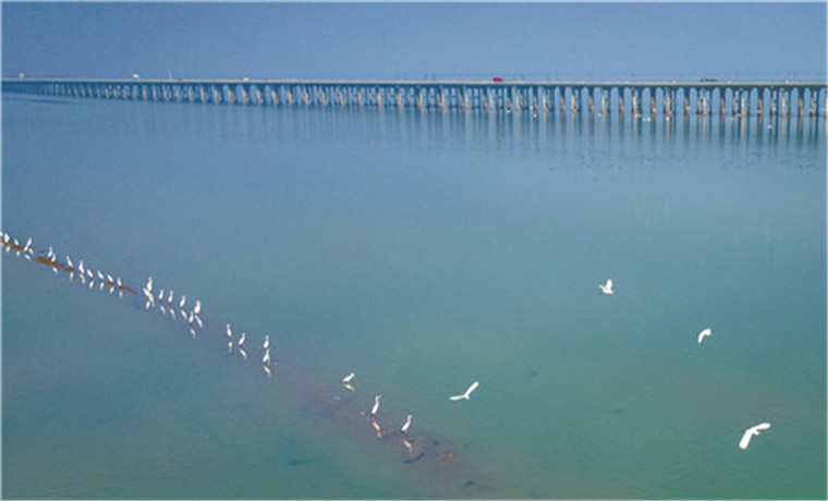 皖苏共护石臼湖