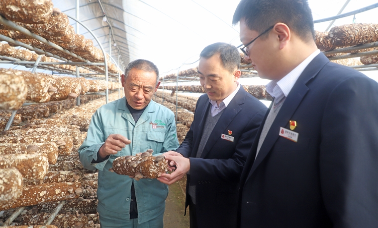 央视点赞蒙阴农商银行依托普惠金融改革试验区助力乡村振兴创新举措