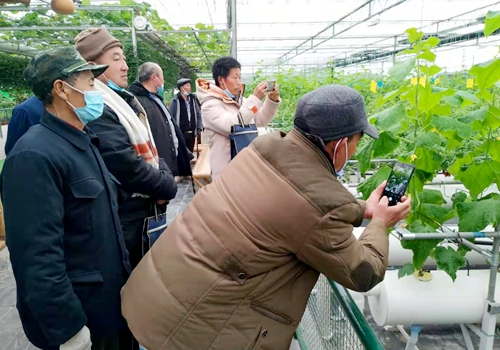 郯城县泉源镇：免费技能培训为残疾人“强筋壮骨”