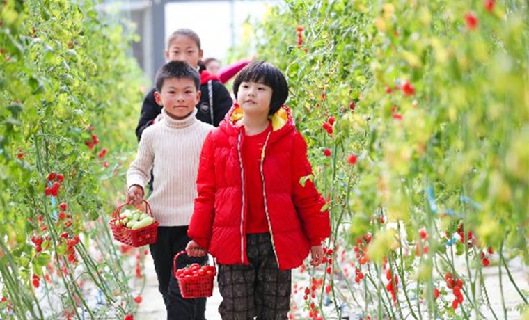 “节假日消费”写入“十四五”规划建议，意味着什么