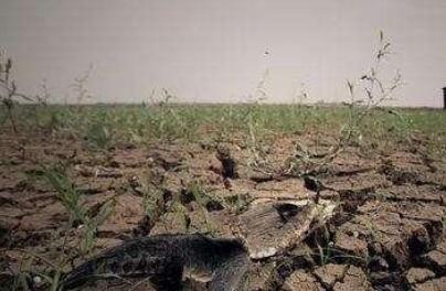 山西发布首个土壤污染防治地方标准