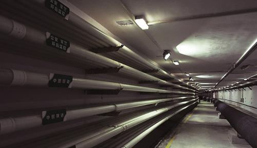 质量基础设施如何为高质量发展助力？广东这样做