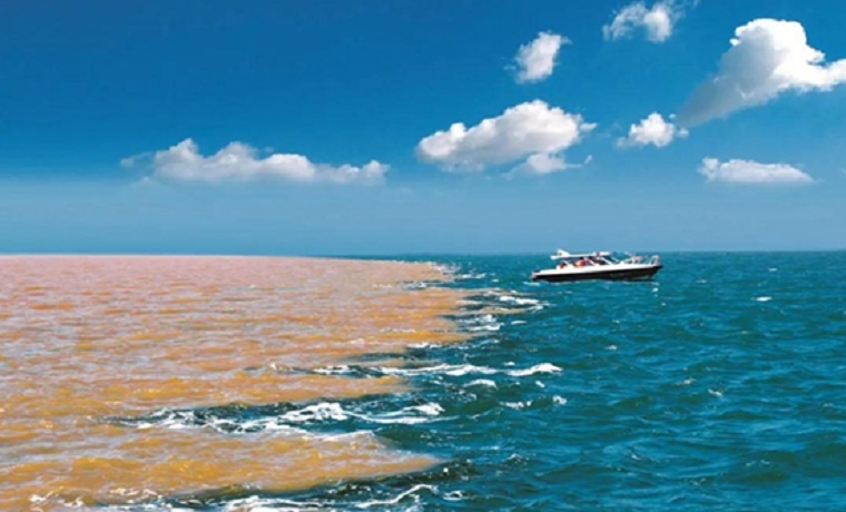 东营“生态赋能”：一座现代化新城悄然崛起