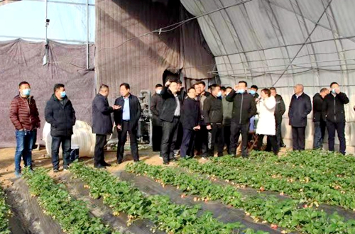兰陵县兰陵镇考察团到花园镇草莓农业科技产业园参观学习