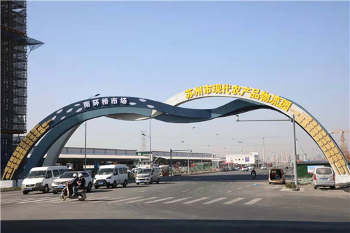 【长三角媒体行】苏州南环桥市场：50%兰陵菜商，“苍山菜”占65%