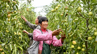 摘下贫困帽，走上致富路