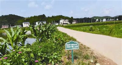 垃圾分类，大米含硒 绵阳这个“零污染村庄”就有这么牛