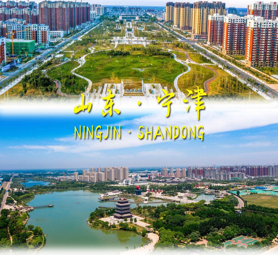 山东宁津：以特色小镇培育为突破口  扎实推进县域服务业高质量发展