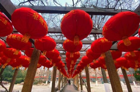 六部门负责人回应关切：让就地过年有保障年味足