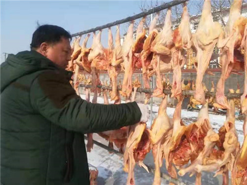 青岛莱西市农民傅晓雷：把“生态鸡”养成产业链