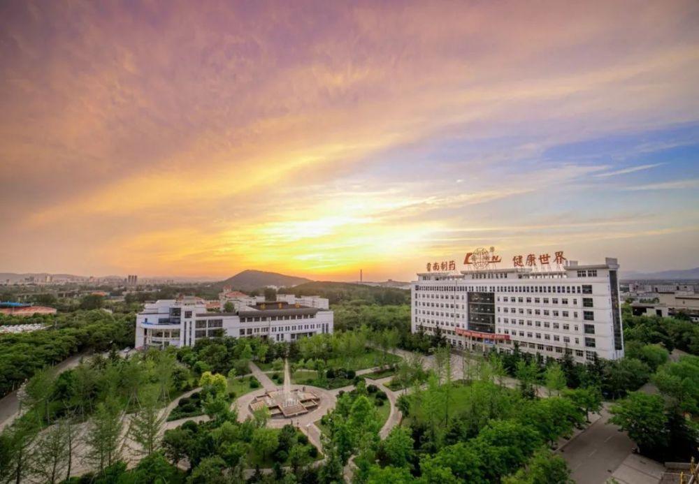 鲁南制药董事长张贵民：多措并举扶持中药产业发展