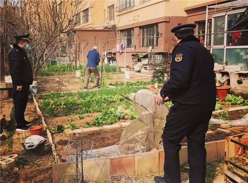 青岛市城市管理局组织开展绿化执法冬季攻势行动“回头看”