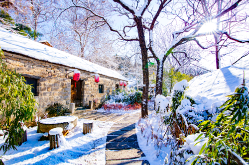【奋斗百年路 启航新征程】兰陵压油沟：昔日“穷山村”闯出振兴路