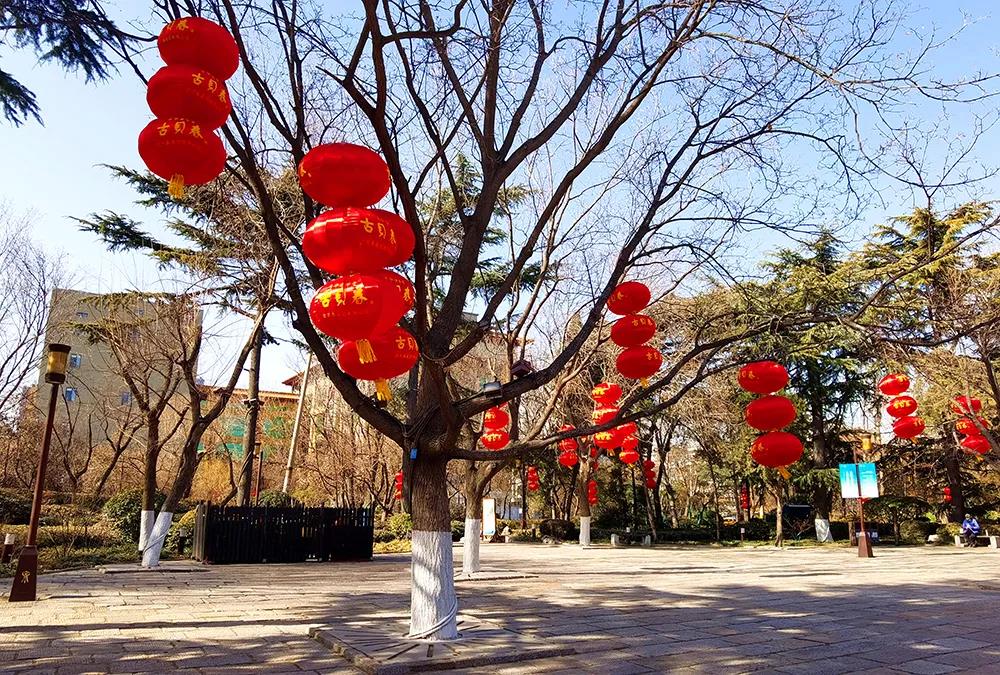 古贝春“红动山东”，红红火火迎新春！