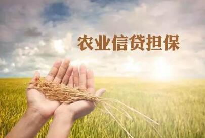 全国农业信贷担保体系在保余额超2100亿元