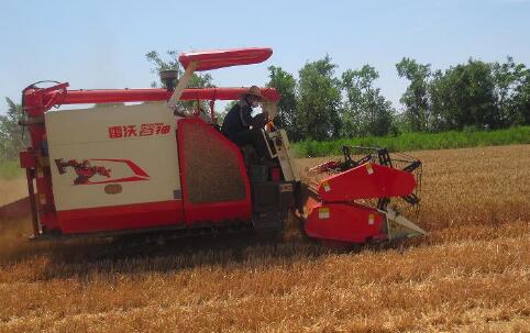 潍柴雷沃重工水稻机海外业务持续突破