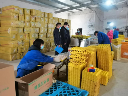 安徽望江国元农保：为“三农”发展保驾护航