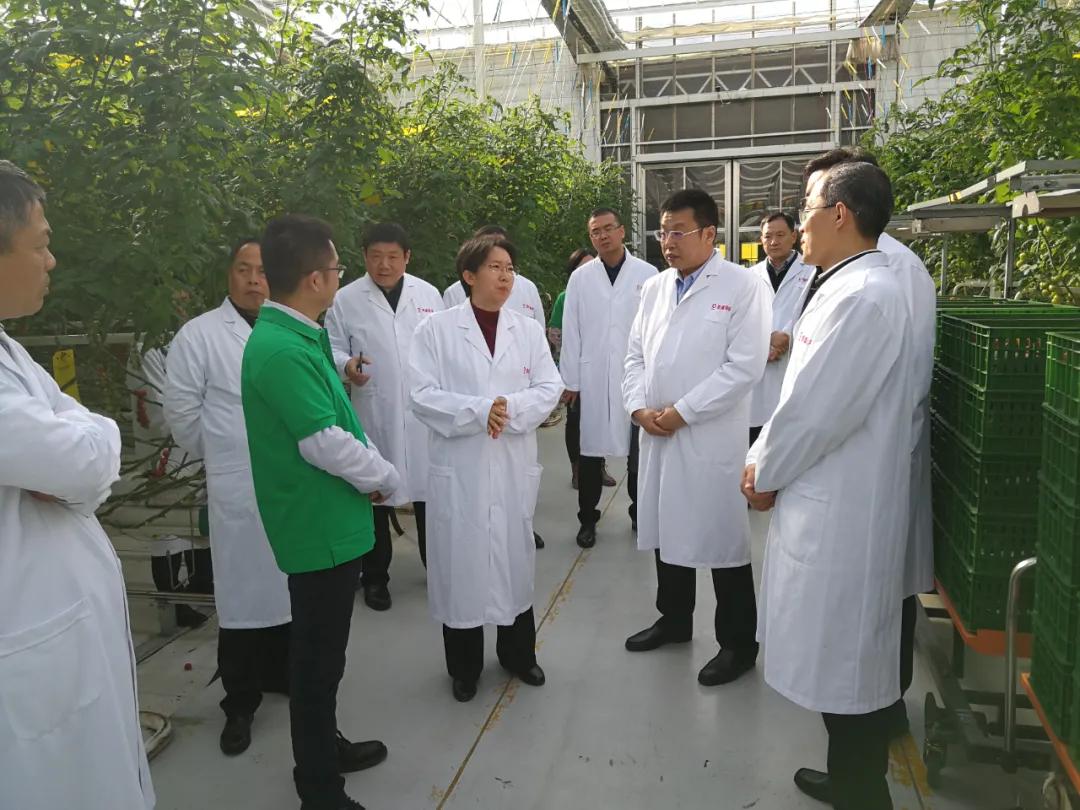 经验交流｜桓台县考察团到德州运河新区参观考察
