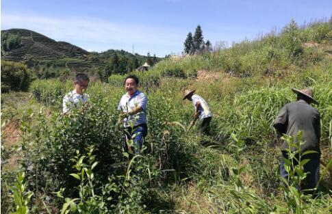 福建省科技特派员服务领域从一产拓展到二三产