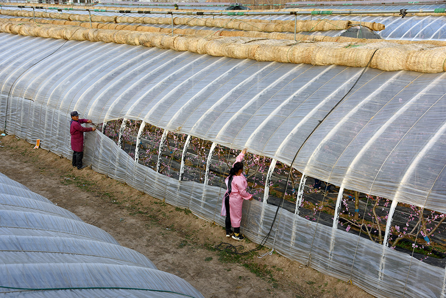 20210224104719147.jpg LOCAL202102240705309291730523162.jpg