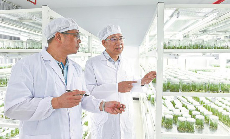 锻造农业“芯”，福建打响种业翻身仗