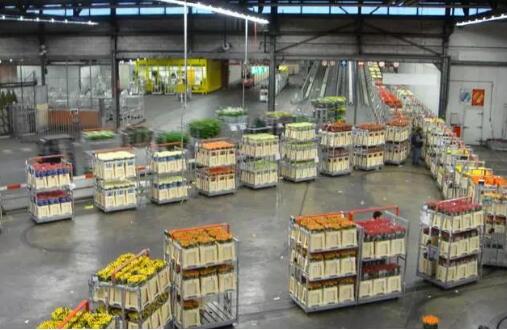 加快现代流通体系建设 流通畅，农村消费旺