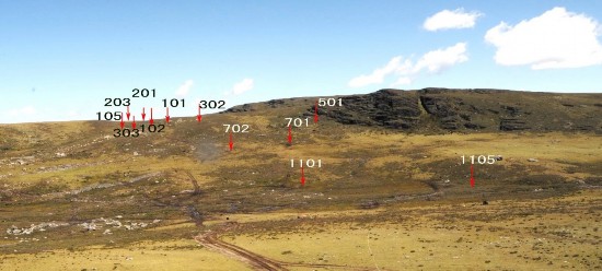 20210225112100868.jpg 10539452812935769986.jpg