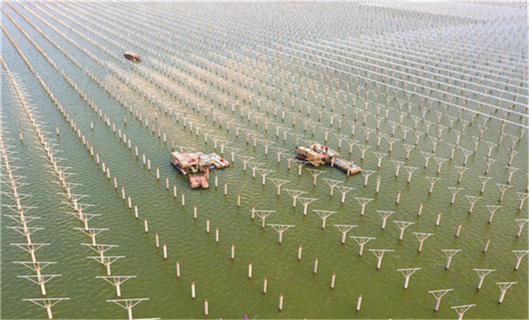 水上光伏助力乡村振兴