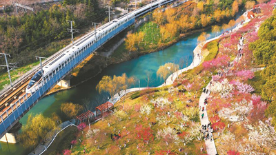 数字背后的春节文旅盛宴