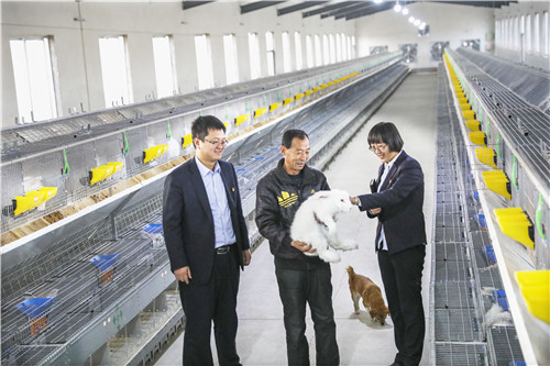 带动670余人奔富路：这个山区劳模不简单