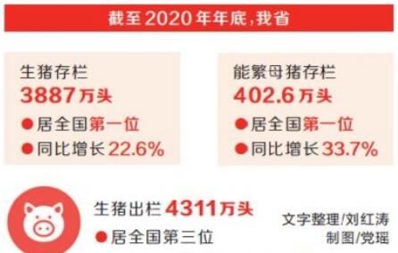 产能恢复显著 河南生猪和能繁母猪存栏全国“双第一”