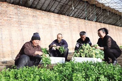 20210301100411790.jpg 4979078794177135537.jpg