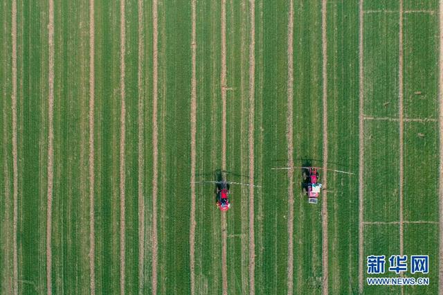 理上网来｜新机遇期！山东这一领域亟需“快走几步”