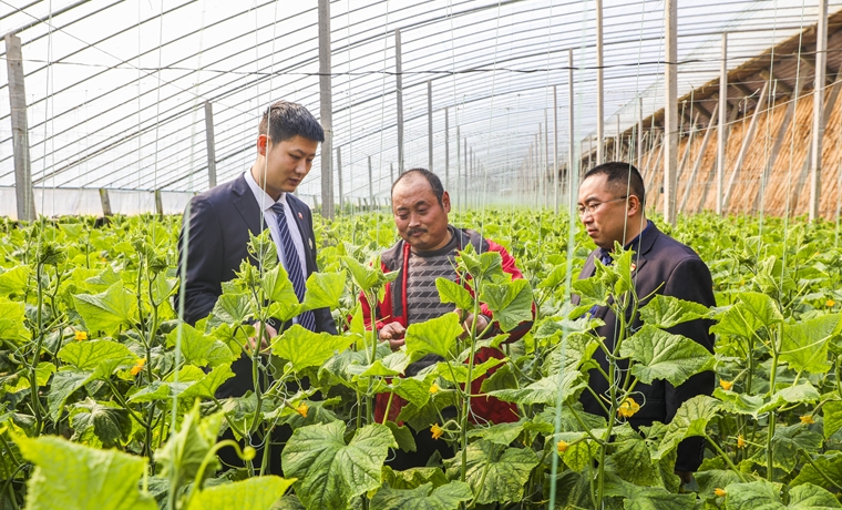 蒙阴农商银行金融助力备春耕