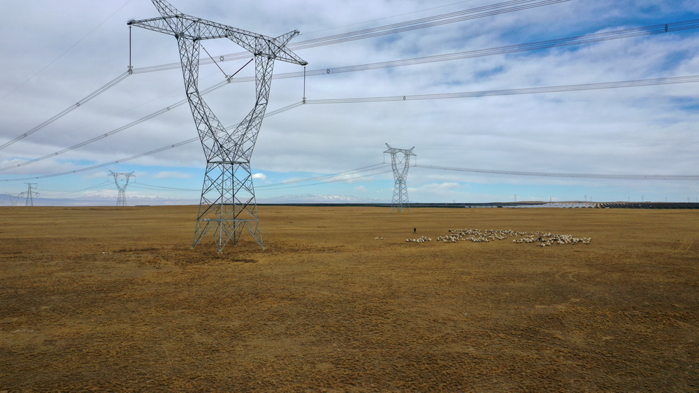 20210305093025929.jpg MAIN202103041019000302074014059.jpg