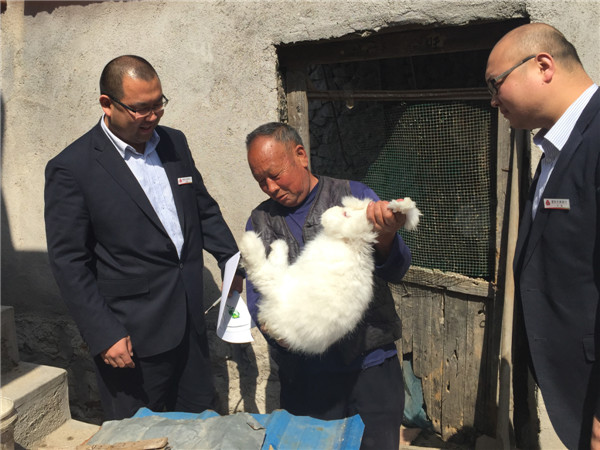 小兔子“蹦”出大产业 蒙阴农商行助力现代化养殖业发展