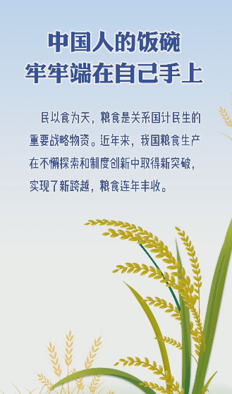 粮食安全中国人的饭碗牢牢端在自己手上