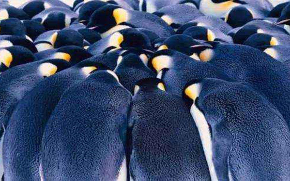 去化不足2成、不足3成！卖不动的方山南抱团取暖？