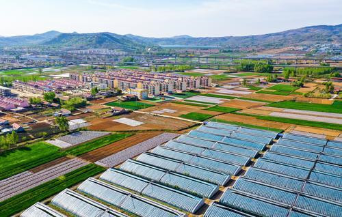 奋力绘就乡村振兴“沂蒙画卷”