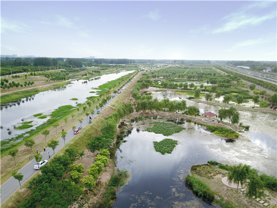 菏泽五年植树造林80万亩