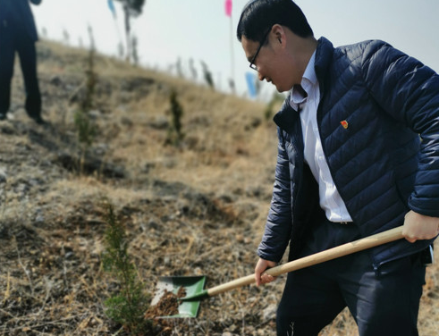 为青山增绿，为党旗添彩 蒙阴农商银行机关党支部开展植树节主题党日活动