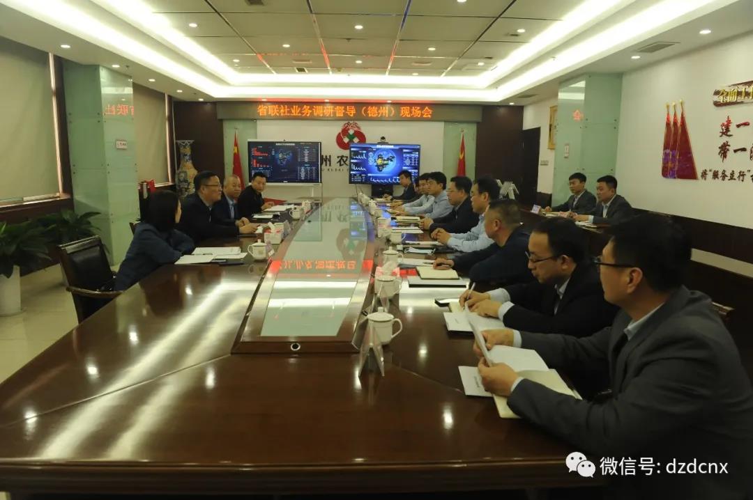省联社业务发展部总经理马立军一行到德州农商银行调研督导工作