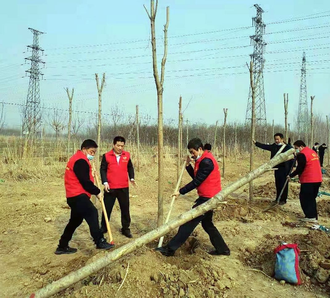 农行庆云县支行：年年植树绿大地27年5000棵